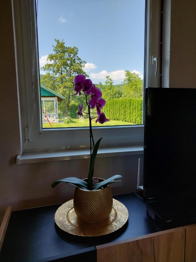 La Reina Una Bihać Esterno foto